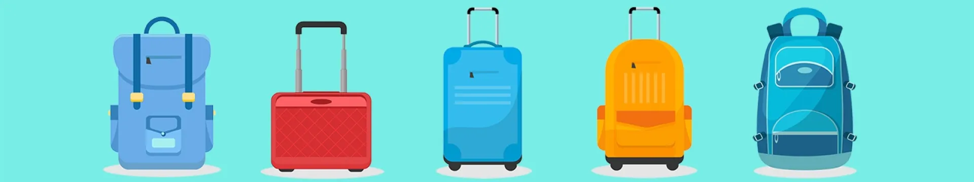 Passenger Information - Baggage policy