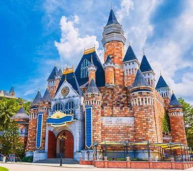 Ofertă Disneyland Paris®