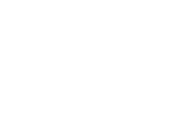 Condor Logo